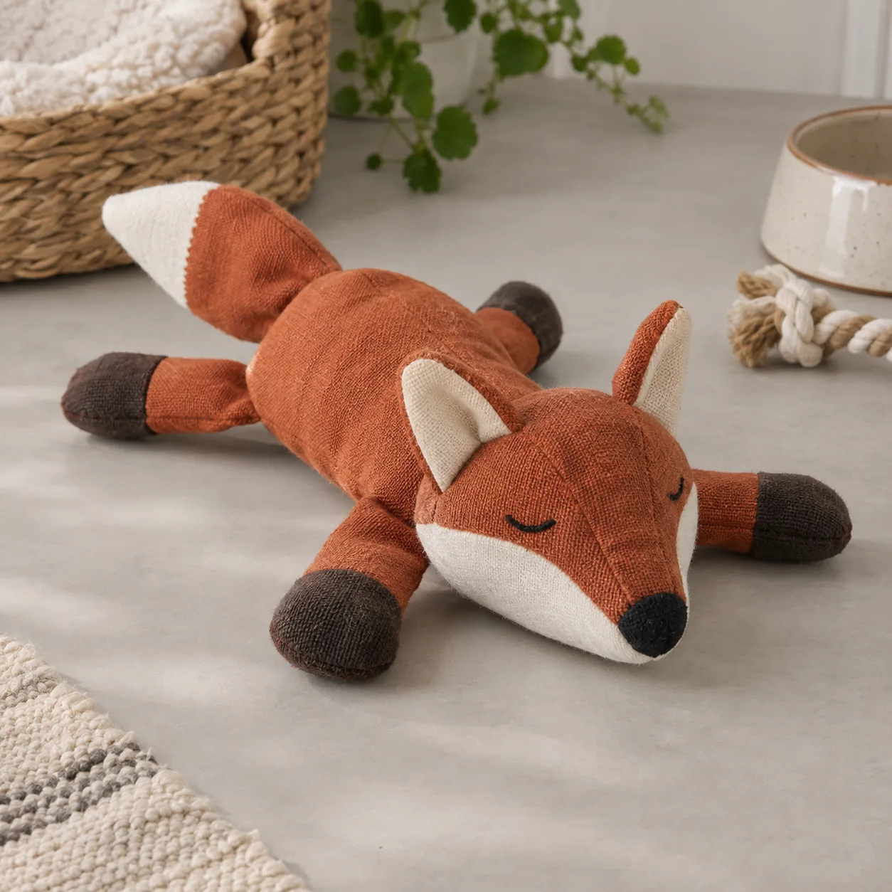 Canvas Fox Companion