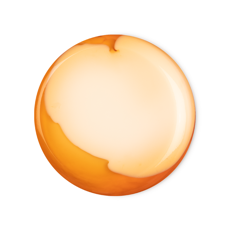 Bongo