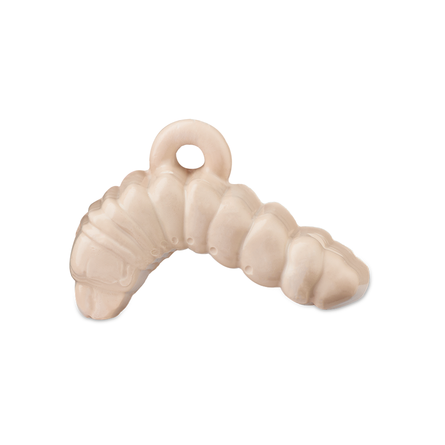 Witchetty Grub