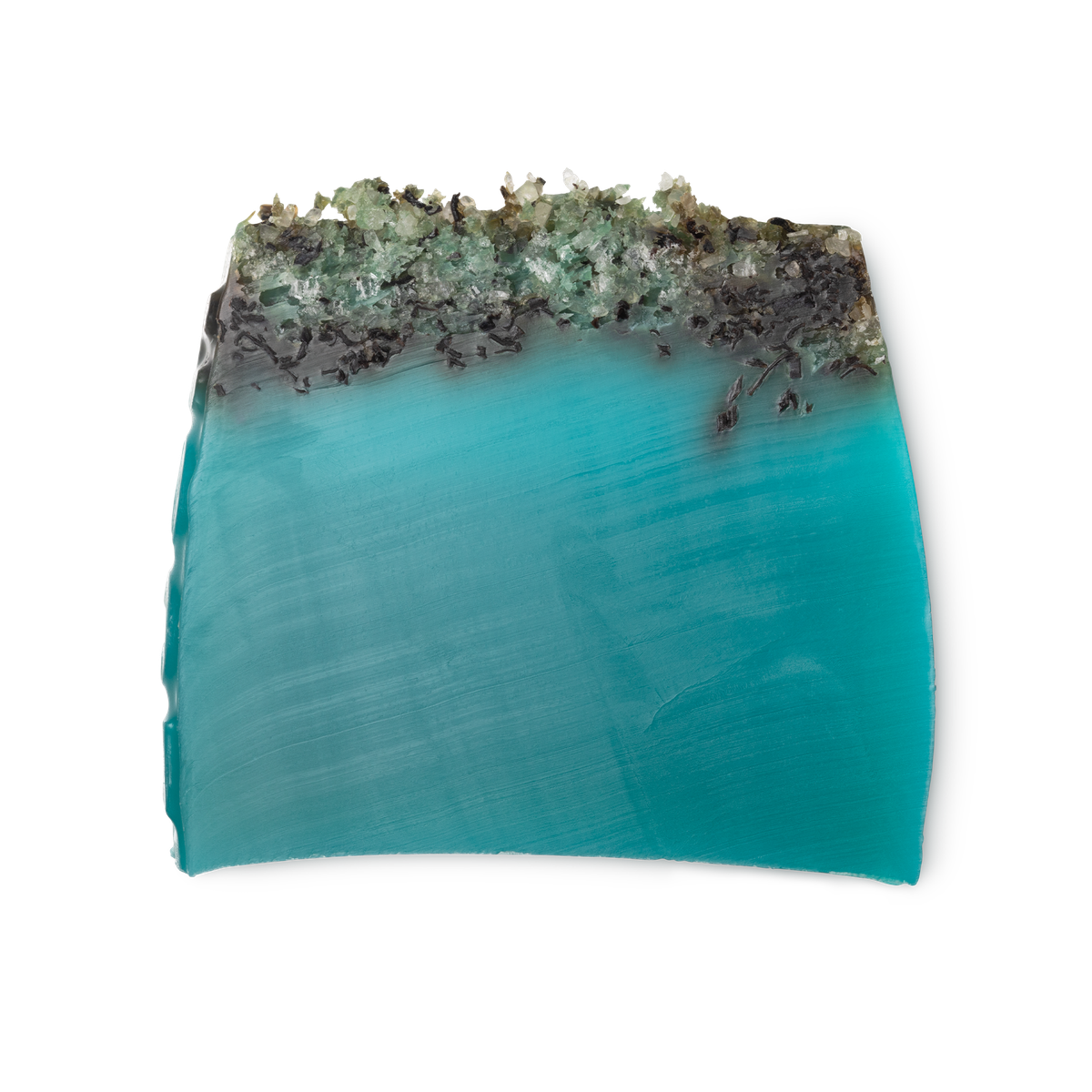 Sea Vegetable