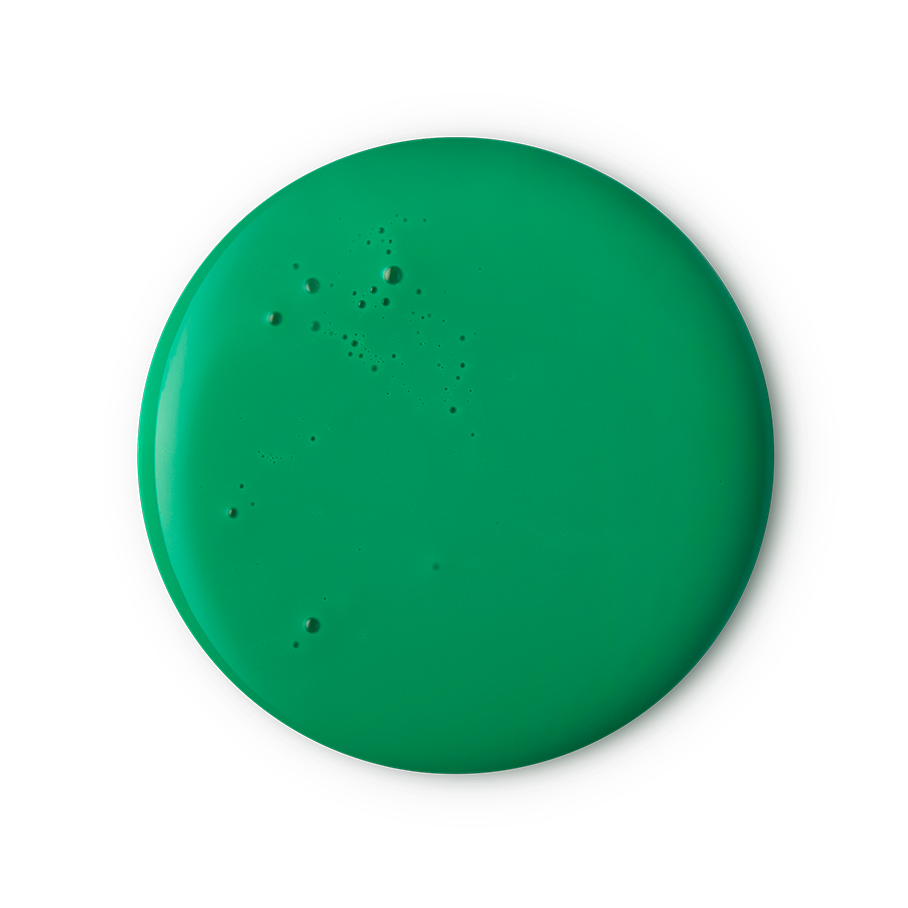 Lord Of Misrule