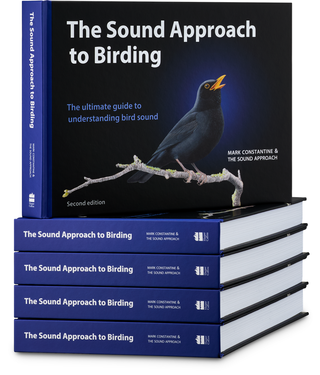 The Sound Approach to Birding