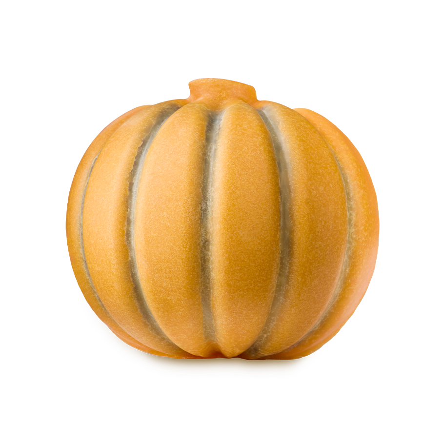 Pumpkin Scrubee