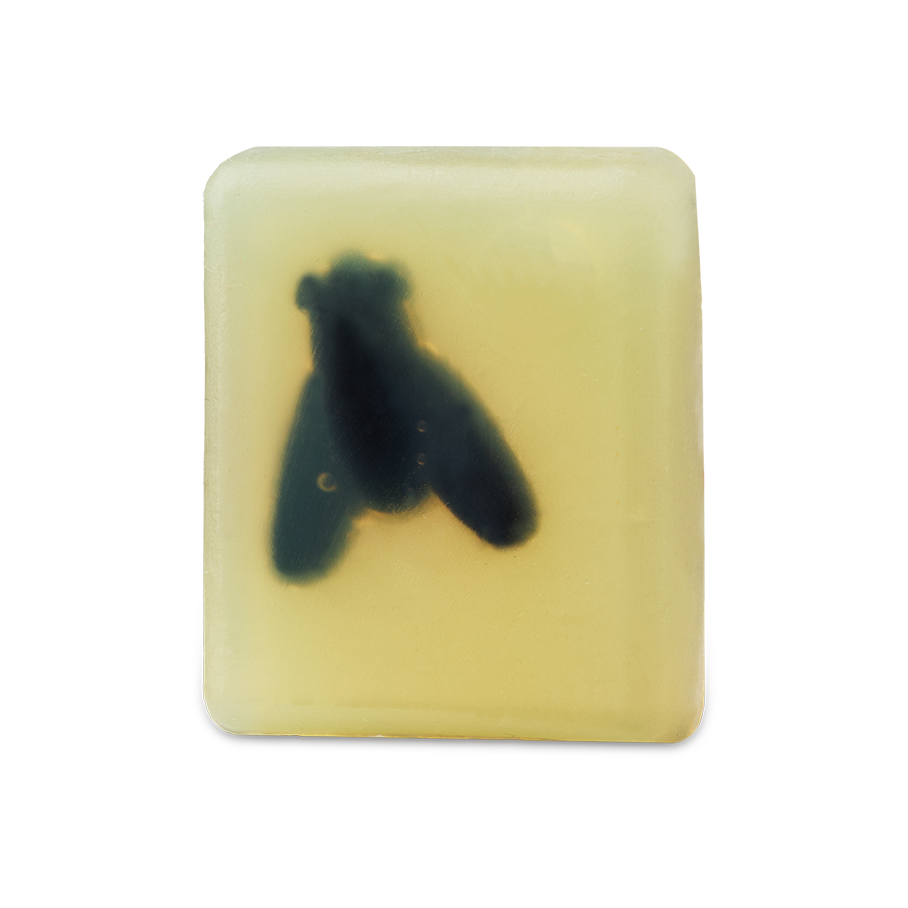 Waiter! There’s A Fly In My Soap