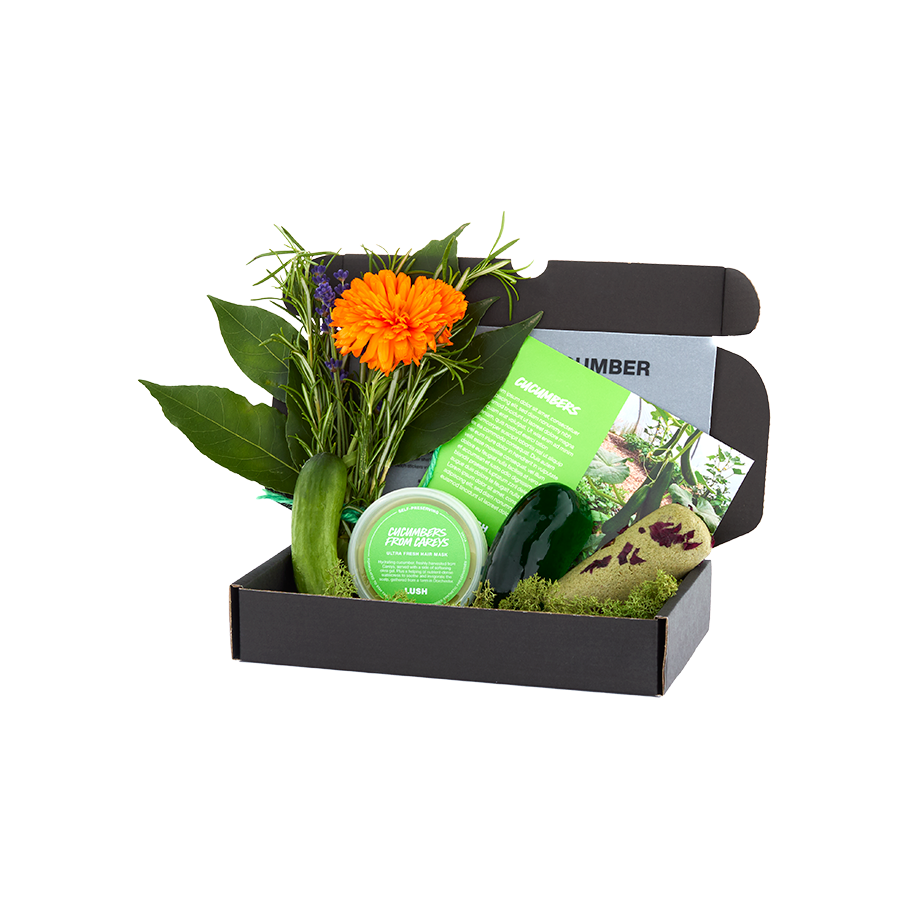 Ultra Fresh Box